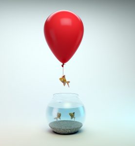 Ottieni la massima visibilità su Booking.com